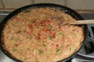 Spicy Queso Dip