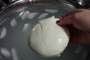 Homemade Fresh Mozzarella