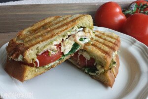 Chicken Pesto Panini